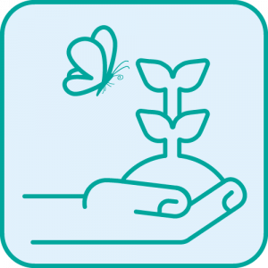 Biodiversity Biodiversity