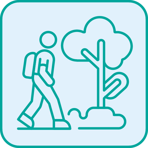 Transport